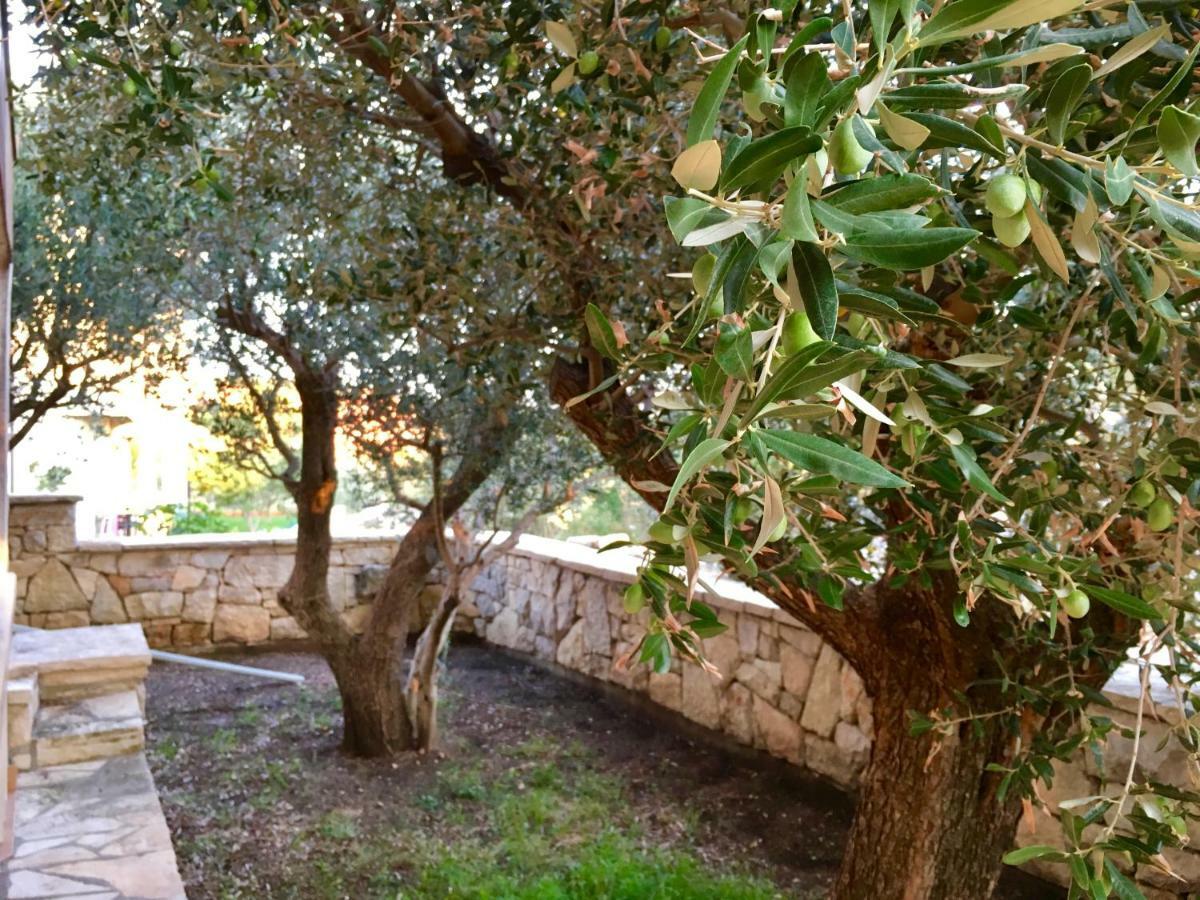 Lavender House Apartment Maslenica Exterior foto